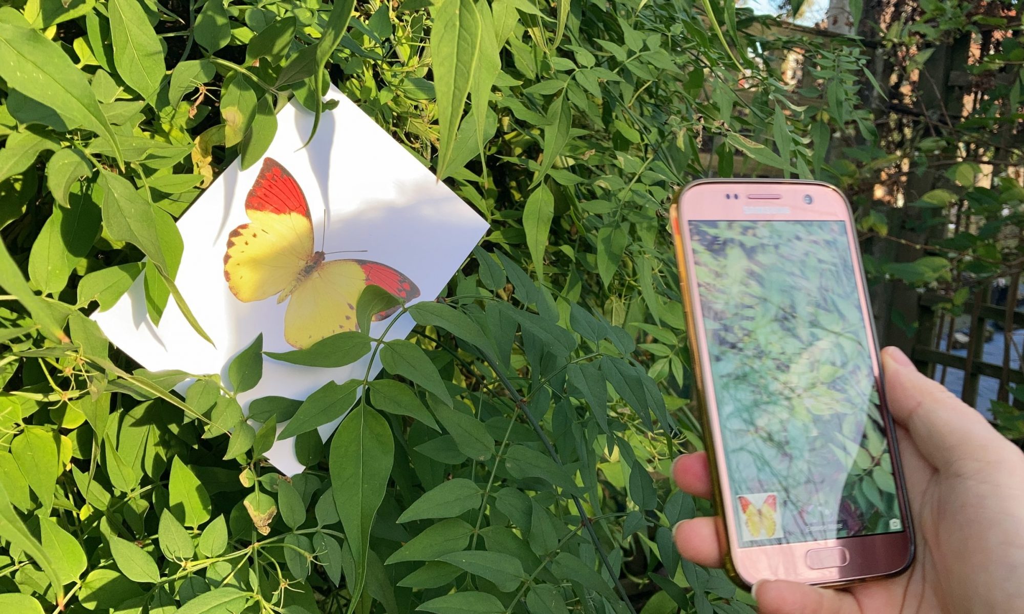 PopupView